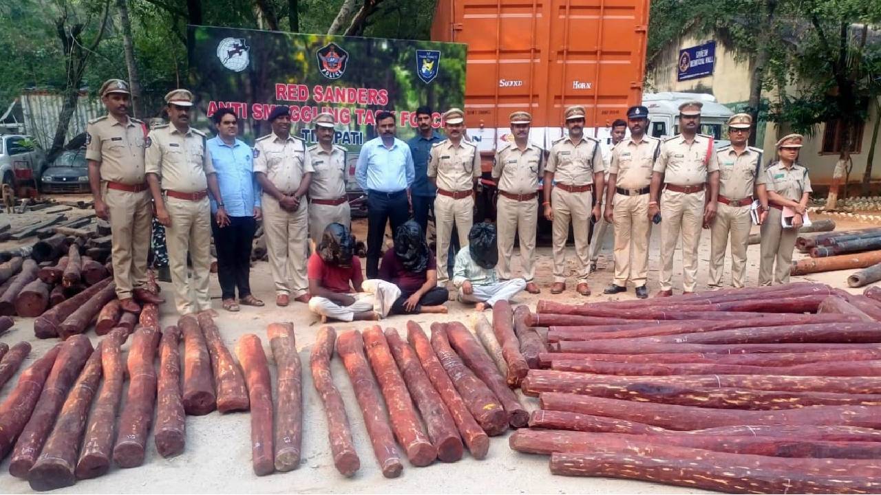 Red sandalwood smuggling racket busted in Tirupati