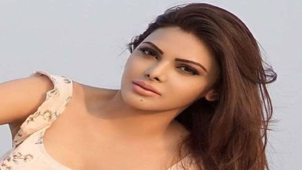 Sherlyn Chopra Biography and Net worth 4